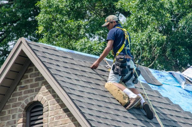Best Roof Maintenance Services  in Miami Shores, FL